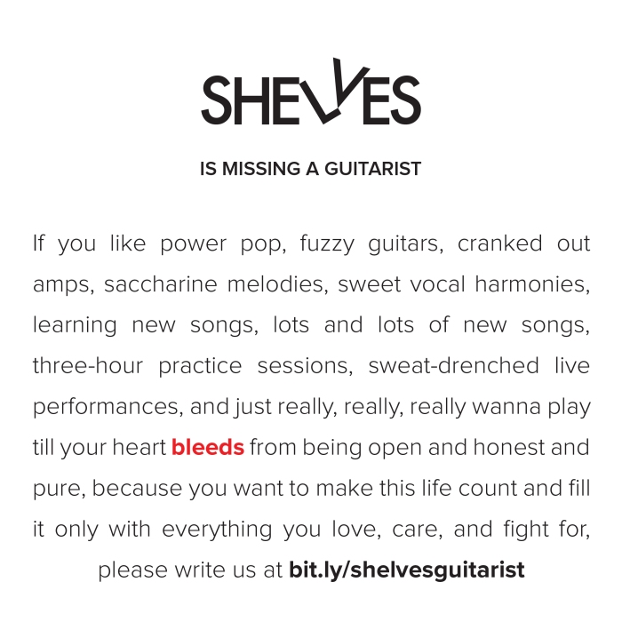 shelves-guitarist-4-01
